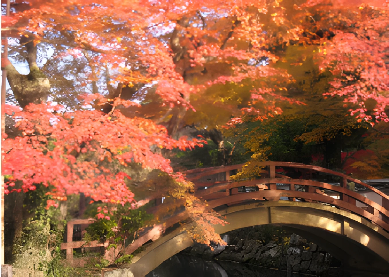 紅葉